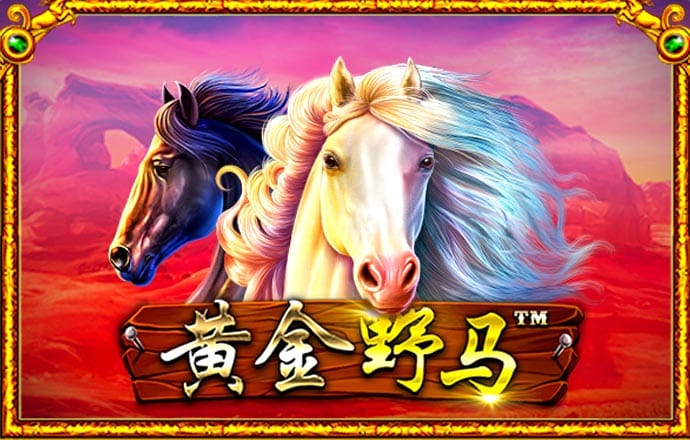 ky50棋牌小额